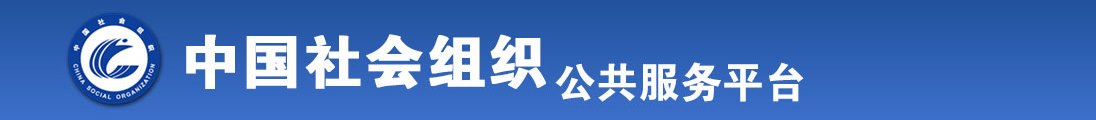 牛逼影视全国社会组织信息查询